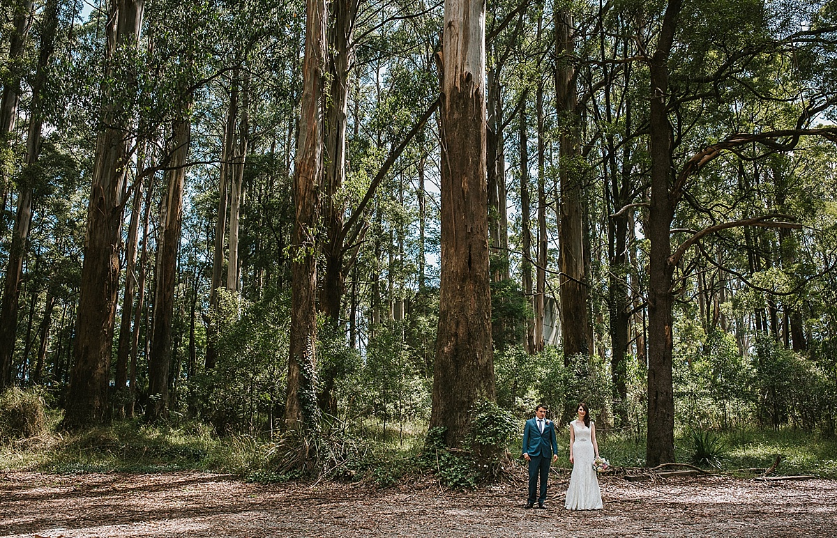 Nadia-Daniel-Quirky-Forest-Wedding-Dandenongs-Melbourne-Wedding-Photography_042