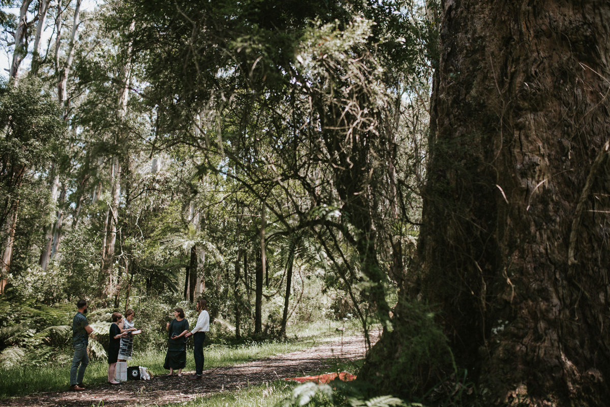 Berenice&Sam_Melbourne-Dandenongs-Elopement_Relaxed-Quirky-Candid-Wedding-Photography_39