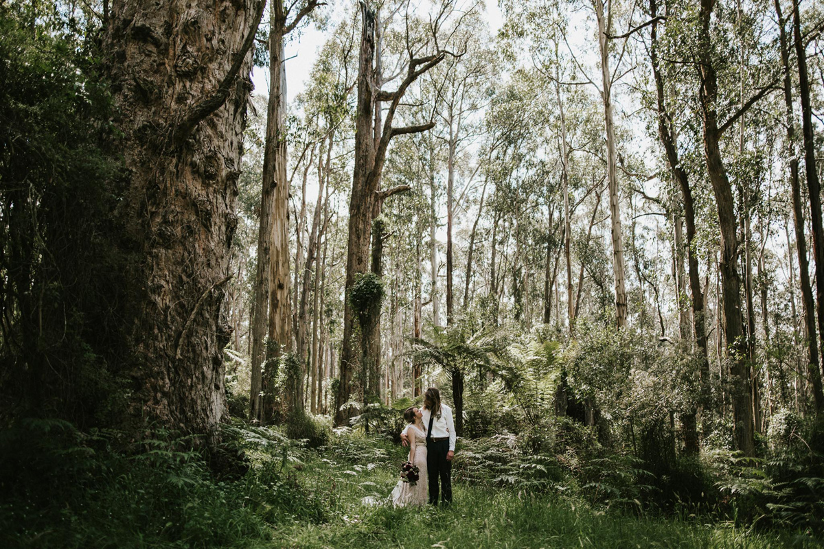 Berenice&Sam_Melbourne-Dandenongs-Elopement_Relaxed-Quirky-Candid-Wedding-Photography_60